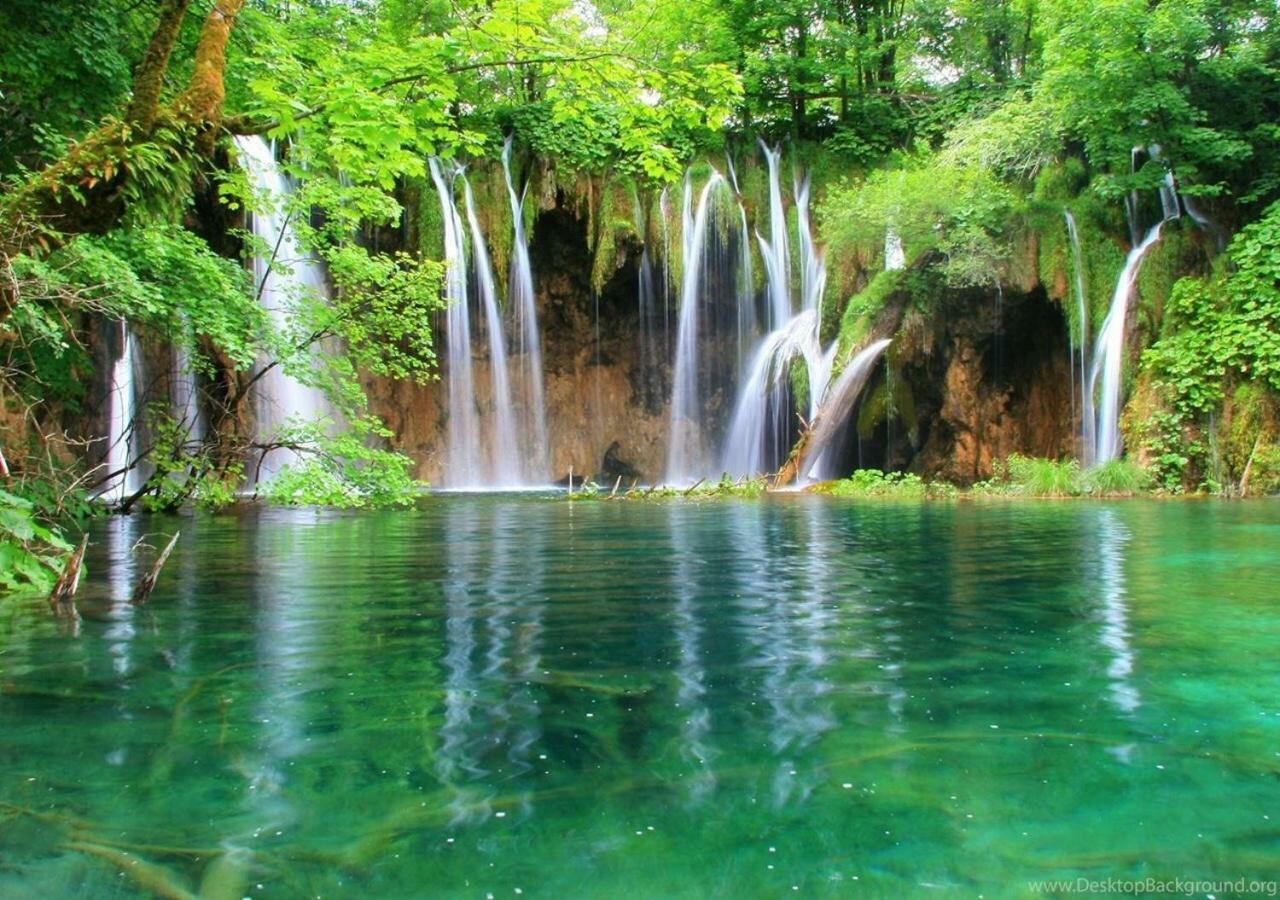 Dream *